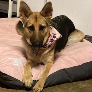 Meet your Posher, Suzanne